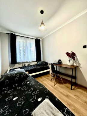 Pokoje obok uczelni Collegium Witelona